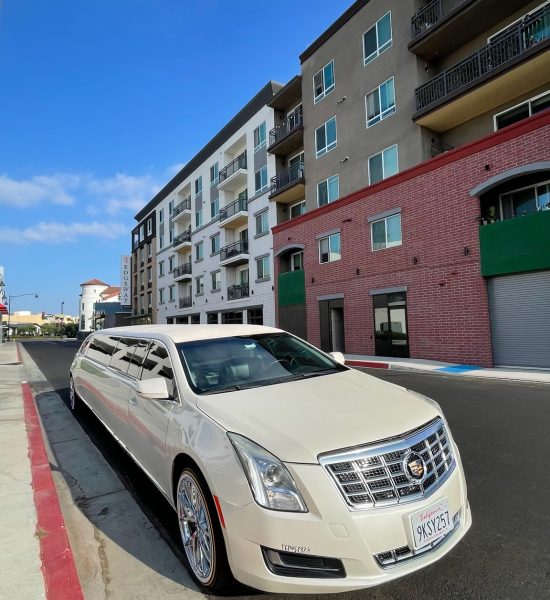A white limousine parked on a city street beside modern buildings.